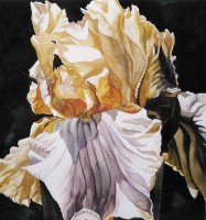 /album/alfred-ng1/alfred-ng-untitled18-jpg1/
